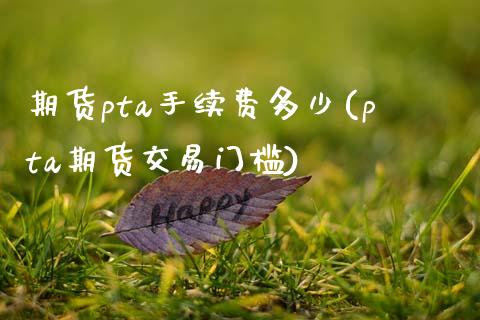 期货pta手续费多少(pta期货交易门槛)_https://www.gzbbqc.com_纳指期货_第1张