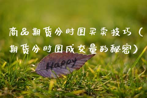 商品期货分时图买卖技巧（期货分时图成交量的秘密）_https://www.gzbbqc.com_期货知识_第1张