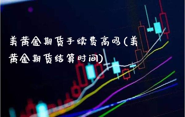 美黄金期货手续费高吗(美黄金期货结算时间)_https://www.gzbbqc.com_未分类_第1张