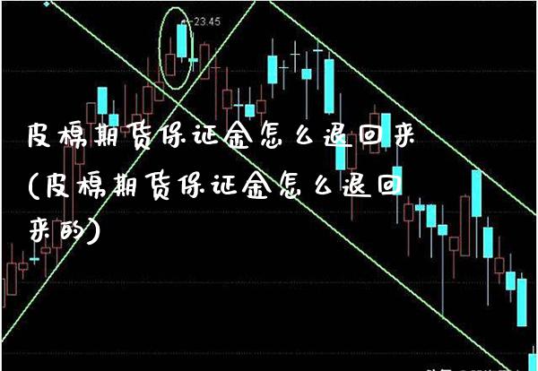 皮棉期货保证金怎么退回来(皮棉期货保证金怎么退回来的)_https://www.gzbbqc.com_黄金期货_第1张