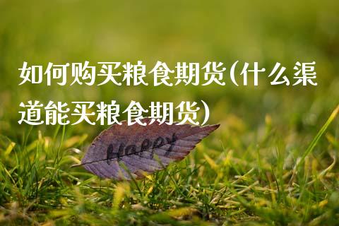 如何购买粮食期货(什么渠道能买粮食期货)_https://www.gzbbqc.com_期货知识_第1张
