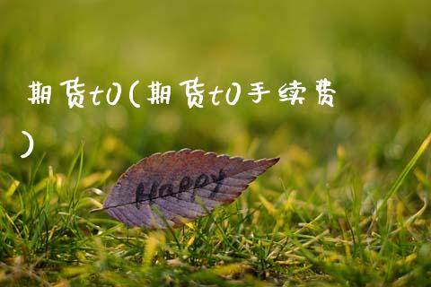 期货t0(期货t0手续费)_https://www.gzbbqc.com_股指期货_第1张