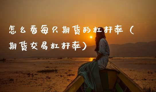 怎么看每只期货的杠杆率（期货交易杠杆率）_https://www.gzbbqc.com_纳指期货_第1张