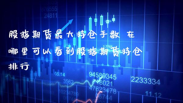 股指期货最大持仓手数 在哪里可以看到股指期货持仓排行_https://www.gnhpgy.com_期货知识_第1张