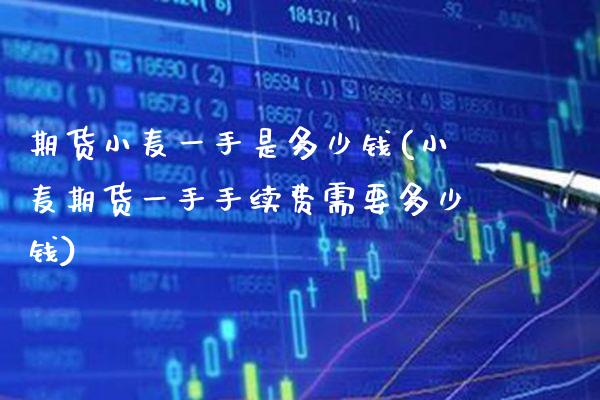 期货小麦一手是多少钱(小麦期货一手手续费需要多少钱)_https://www.gzbbqc.com_黄金期货_第1张