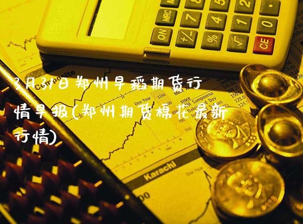 3月31日郑州早稻期货行情早报(郑州期货棉花最新行情)_https://www.gzbbqc.com_未分类_第1张