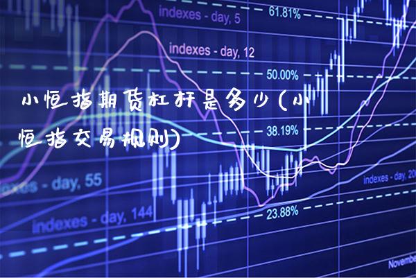 小恒指期货杠杆是多少(小恒指交易规则)_https://www.gzbbqc.com_黄金期货_第1张