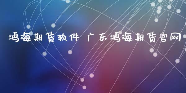 鸿海期货软件 广东鸿海期货官网_https://www.gzbbqc.com_期货知识_第1张