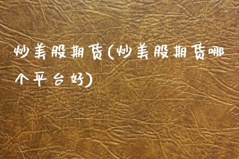 炒美股期货(炒美股期货哪个平台好)_https://www.gzbbqc.com_恒指期货_第1张