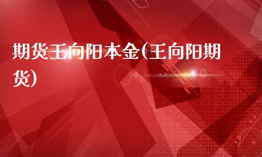 期货王向阳本金(王向阳期货)_https://www.gzbbqc.com_未分类_第1张