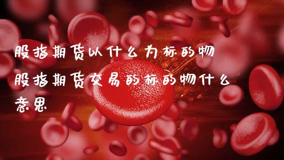 股指期货以什么为标的物 股指期货交易的标的物什么意思_https://www.gnhpgy.com_道指期货_第1张