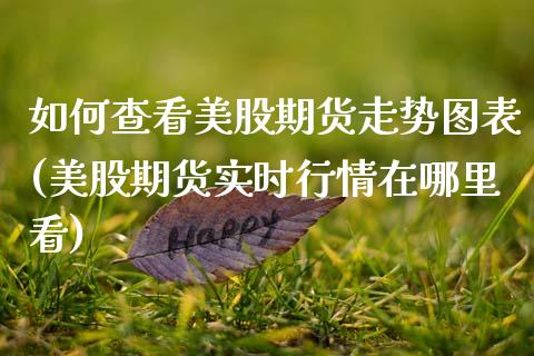 如何查看美股期货走势图表(美股期货实时行情在哪里看)_道指期货_第1张_八八期货网 如何查看美股期货走势图表(美股期货实时行情在哪里看)_https://www.gzbbqc.com_道指期货_第1张