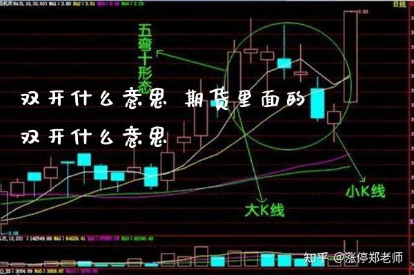 双开什么意思 期货里面的双开什么意思_https://www.gzbbqc.com_期货知识_第1张