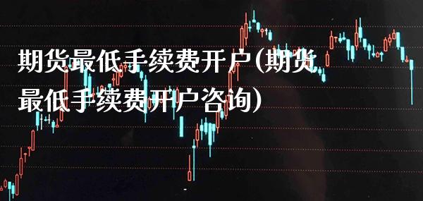期货最低手续费开户(期货最低手续费开户咨询)_https://www.gzbbqc.com_纳指期货_第1张