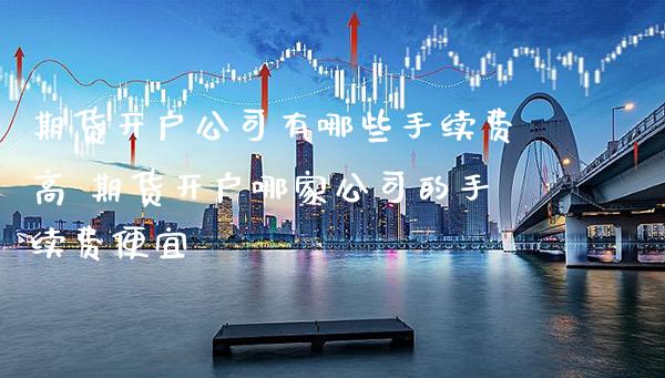 期货开户公司有哪些手续费高 期货开户哪家公司的手续费便宜_https://www.gnhpgy.com_期货知识_第1张
