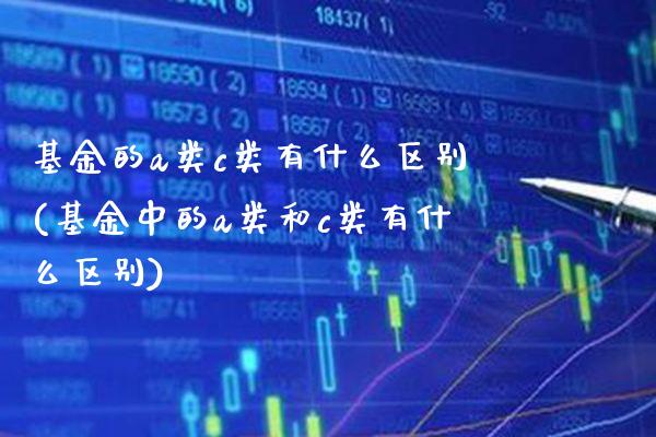 基金的a类c类有什么区别(基金中的a类和c类有什么区别)_https://www.gzbbqc.com_期货知识_第1张