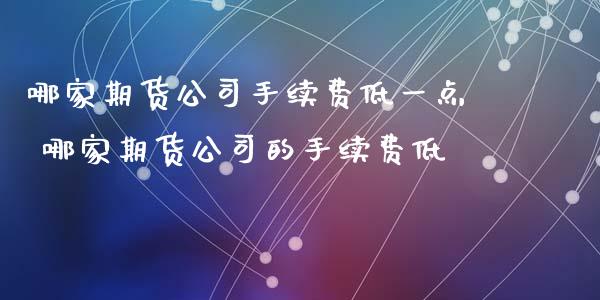 哪家期货公司手续费低一点 哪家期货公司的手续费低_https://www.gnhpgy.com_期货知识_第1张