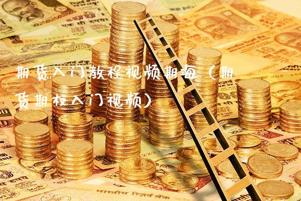 期货入门教程视频期海（期货期权入门视频）_https://www.gzbbqc.com_德指期货_第1张
