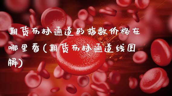 期货布林通道的指数价格在哪里看(期货布林通道线图解)_https://www.gzbbqc.com_黄金期货_第1张