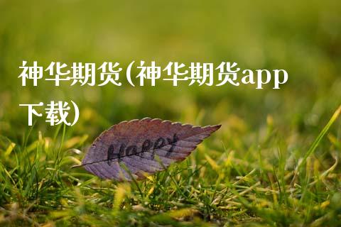 神华期货(神华期货app下载)_https://www.gzbbqc.com_期货知识_第1张