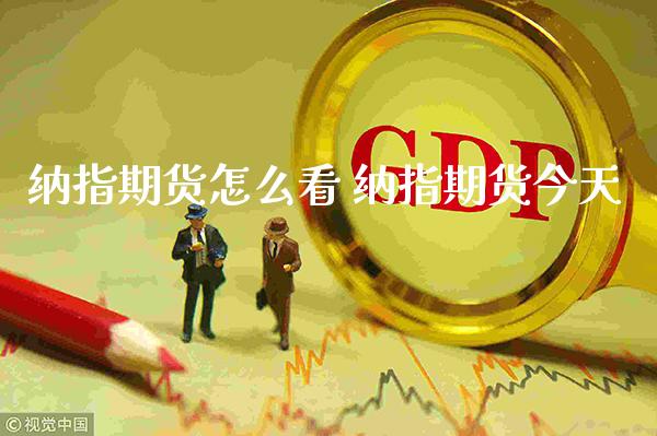 纳指期货怎么看 纳指期货今天_https://www.gnhpgy.com_纳指期货_第1张