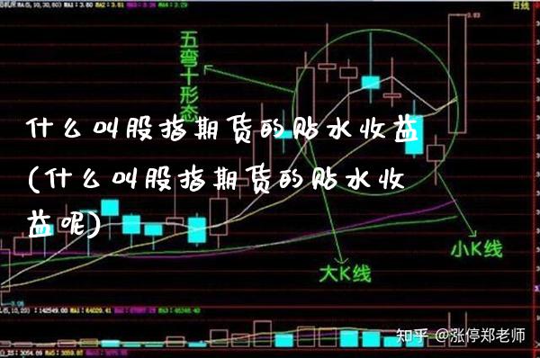 什么叫股指期货的贴水收益(什么叫股指期货的贴水收益呢)_https://www.gzbbqc.com_德指期货_第1张
