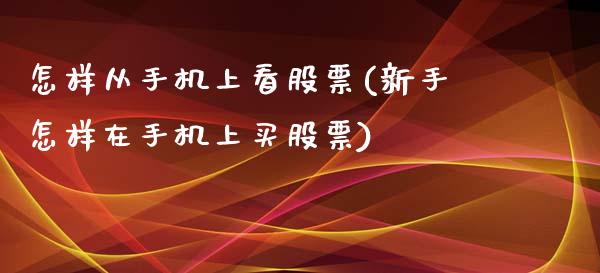 怎样从手机上看股票(新手怎样在手机上买股票)_原油期货_第1张_八八期货网 怎样从手机上看股票(新手怎样在手机上买股票)_https://www.gzbbqc.com_原油期货_第1张