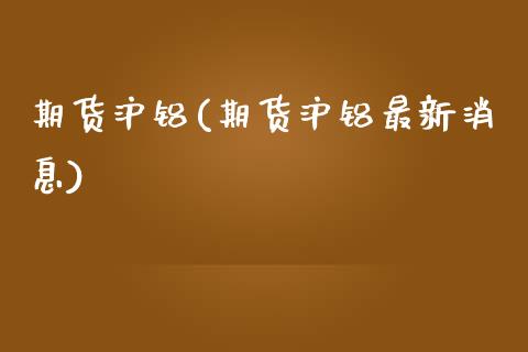 期货沪铝(期货沪铝最新消息)_https://www.gzbbqc.com_原油期货_第1张