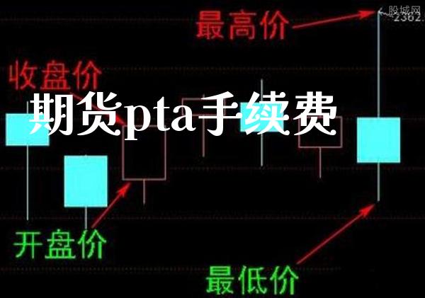 期货pta手续费_https://www.gzbbqc.com_德指期货_第1张