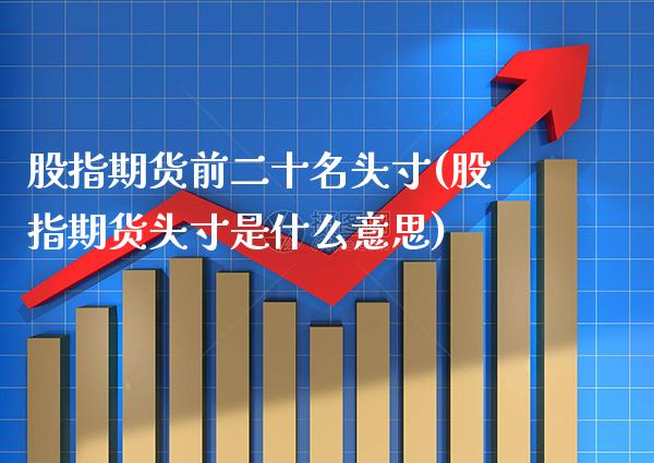 股指期货前二十名头寸(股指期货头寸是什么意思)_https://www.gzbbqc.com_黄金期货_第1张