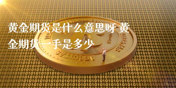 黄金期货是什么意思呀 黄金期货一手是多少_https://www.gnhpgy.com_黄金期货_第1张