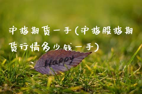 沪指期货一手(沪指股指期货行情多少钱一手)_https://www.gzbbqc.com_未分类_第1张