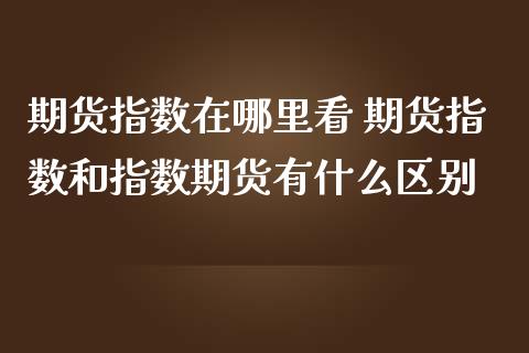 期货指数在哪里看 期货指数和指数期货有什么区别_https://www.gzbbqc.com_期货知识_第1张