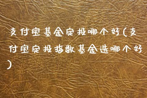 支付宝基金定投哪个好(支付宝定投指数基金选哪个好)_https://www.gzbbqc.com_黄金期货_第1张