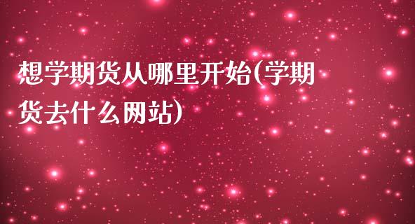 想学期货从哪里开始(学期货去什么网站)_https://www.gzbbqc.com_纳指期货_第1张