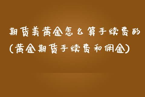 期货美黄金怎么算手续费的(黄金期货手续费和佣金)_https://www.gzbbqc.com_期货知识_第1张
