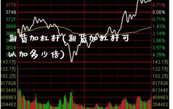 期货加杠杆(期货加杠杆可以加多少倍)_https://www.gzbbqc.com_恒指期货_第1张