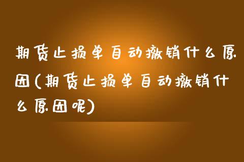 期货止损单自动撤销什么原因(期货止损单自动撤销什么原因呢)_https://www.gzbbqc.com_恒指期货_第1张