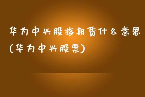 华为中兴股指期货什么意思(华为中兴股票)_https://www.gzbbqc.com_恒指期货_第1张