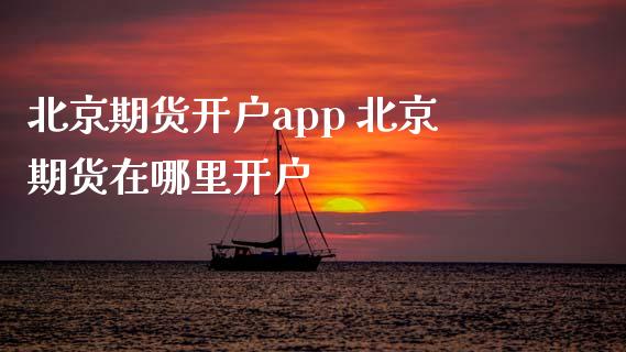 北京期货开户app 北京期货在哪里开户_https://www.gzbbqc.com_原油期货_第1张