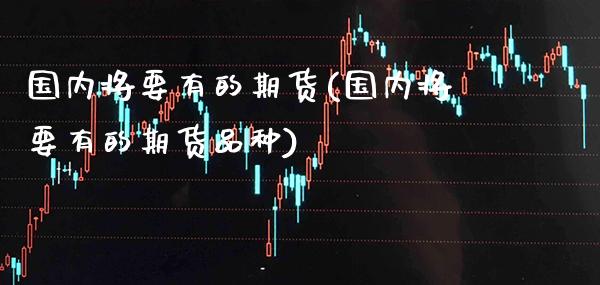 国内将要有的期货(国内将要有的期货品种)_https://www.gzbbqc.com_恒指期货_第1张