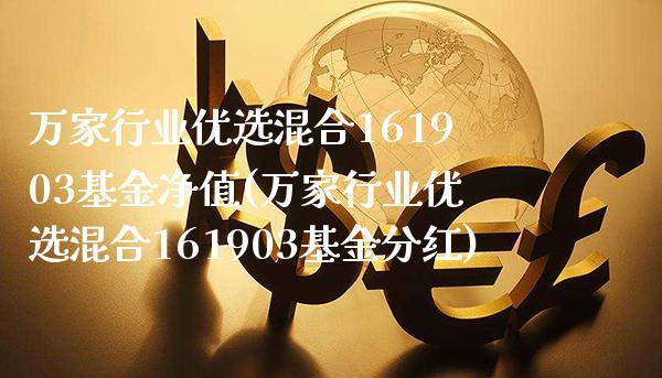 万家行业优选混合161903基金净值(万家行业优选混合161903基金分红)_https://www.gzbbqc.com_未分类_第1张
