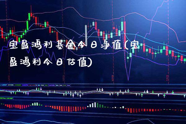 宝盈鸿利基金今日净值(宝盈鸿利今日估值)_股指期货_第1张_八八期货网 宝盈鸿利基金今日净值(宝盈鸿利今日估值)_https://www.gzbbqc.com_股指期货_第1张