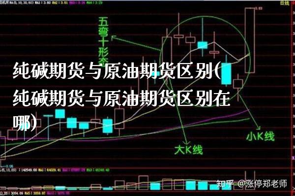 纯碱期货与原油期货区别(纯碱期货与原油期货区别在哪)_https://www.gzbbqc.com_恒指期货_第1张