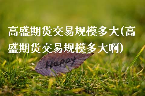 高盛期货交易规模多大(高盛期货交易规模多大啊)_https://www.gzbbqc.com_恒指期货_第1张
