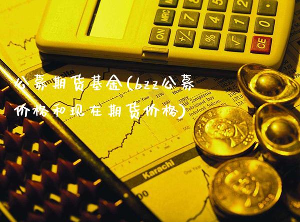 公募期货基金(bzz公募价格和现在期货价格)_https://www.gzbbqc.com_道指期货_第1张