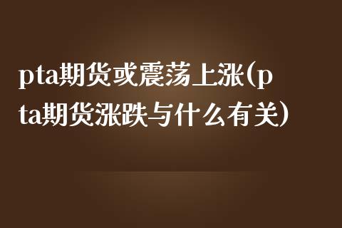 pta期货或震荡上涨(pta期货涨跌与什么有关)_https://www.gzbbqc.com_黄金期货_第1张