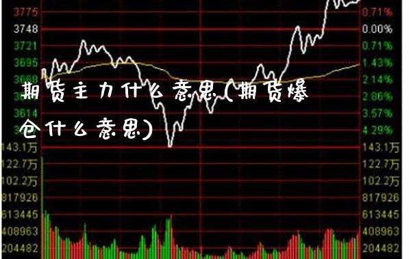 期货主力什么意思(期货爆仓什么意思)_https://www.gzbbqc.com_恒指期货_第1张