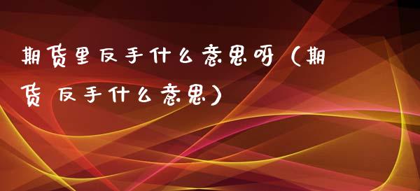 期货里反手什么意思呀（期货 反手什么意思）_https://www.gzbbqc.com_道指期货_第1张