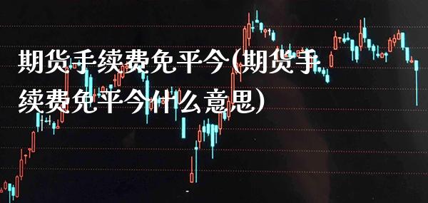 期货手续费免平今(期货手续费免平今什么意思)_https://www.gzbbqc.com_纳指期货_第1张